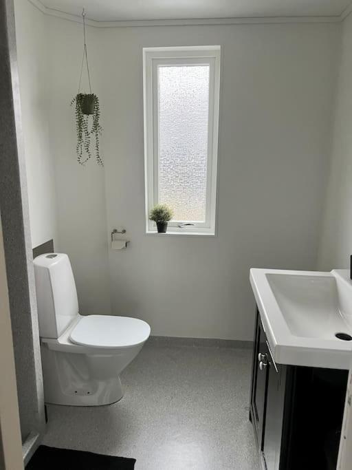 Apartment In The Center Of Torshavn, Free Parking. Экстерьер фото